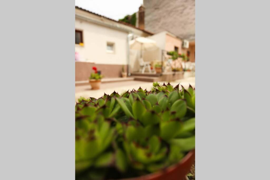 Charming Apartment In Town Center Pola Esterno foto